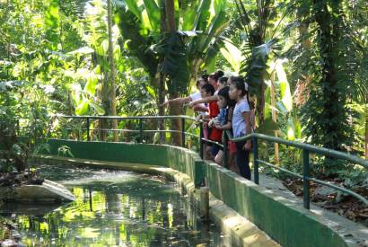 Bosque da Cincia reabre para visitao  ao pblico entrada gratuita