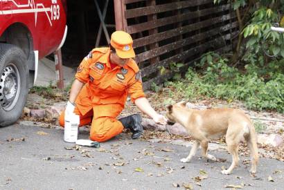 Em dez meses, Corpo de Bombeiros resgatou 138 animais domsticos em situao de risco em Manaus