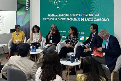 Articulao poltica em prol da Amaznia marca participao brasileira na COP27   