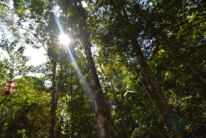 Inscries para doutorado em Clima e Ambiente do Inpa/UEA seguem abertas