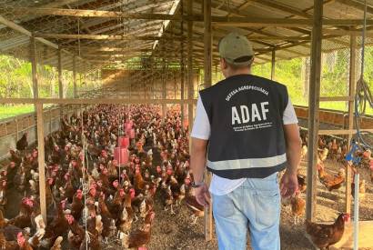 Governo do Amazonas, por meio da Adaf, refora aes de vigilncia ativa de combate  influenza aviria