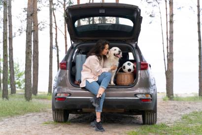 Entenda como treinar seu pet para as viagens de frias