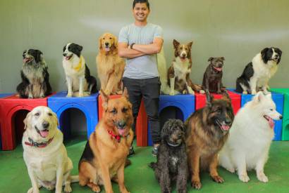 Bem-estar e alvio para o seu pet, em Manaus