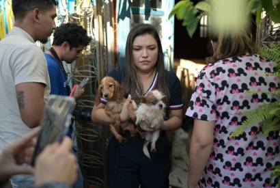 Comrcio ilegal de animais: deputada Joana Darc desmonta canil clandestino em Manaus