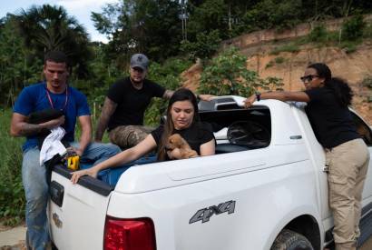 Dia Nacional dos Animais: Joana Darc destaca Leis de sua autoria que beneficiam a causa no AM