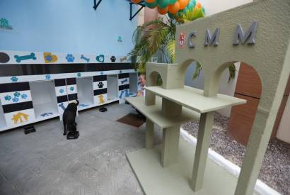 Caio Andr inaugura espao pet para animais que vivem nas dependncias da CMM