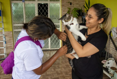 Semsa oferta castrao de gatos e vacinao antirrbica no Jorge Teixeira, em Manaus