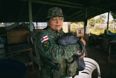 Filhote de peixe-boi  resgatado no interior do Amazonas