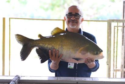 Dia da Aquicultura: Centro de Piscicultura em Balbina  referncia em reproduo de peixes nativos no Amazonas