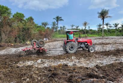 Idam inicia atividades com Unidade Demonstrativa de Abacaxi, em Barreirinha