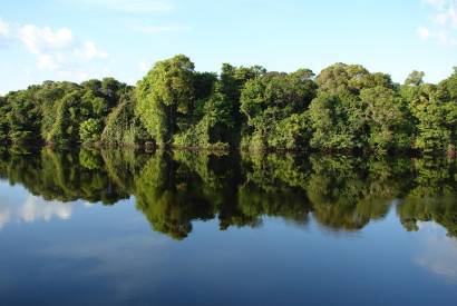 WCS Brasil  eleita para compor Conselho Nacional do Meio Ambiente