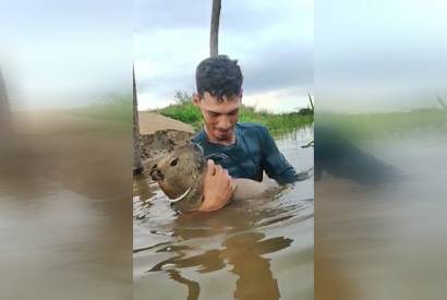 Ibama multa em R$ 17 mil fazendeiro que fez amizade com capivara