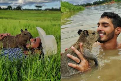 Ibama nega ter tirado capivara de influencer, mas garante que o caso ser investigado