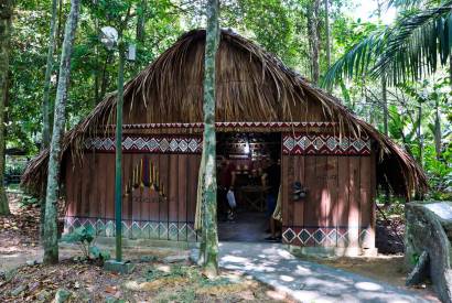 Bosque da Cincia busca estagirios em sete reas