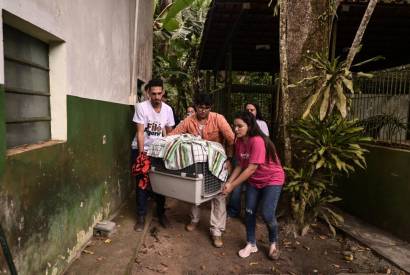 Ao libertar Fil do cativeiro, Joana Darc garante que vai lutar por melhorias para os demais animais do Cetas-AM 