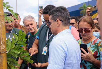 Prefeitura lana aplicativo para gerenciar aes de arborizao na cidade