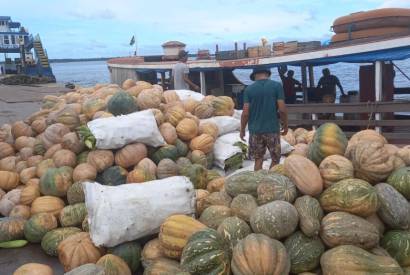 Em abril, Balco de Agronegcios registra maior movimentao de alimentos do ano