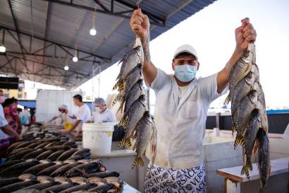 Pesquisa do AM sobre consumo de peixes  destaque em revista cientfica internacional