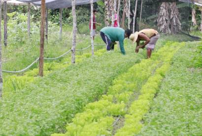 Em Alvares, Sepror vai capacitar produtores durante a 1 Feira do Empreendedorismo e da Agricultura Familiar