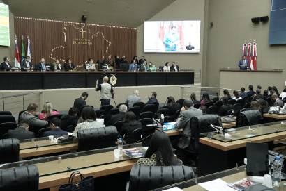 No plenrio da Assembleia, defensor geral apresenta resultados obtidos pela Defensoria a deputados estaduais