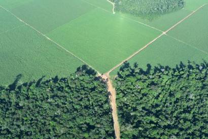 Primeiro semestre do ano registra novos projetos de implantao no Distrito Agropecurio da Suframa