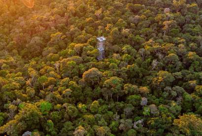 Atraes tursticas e meios de hospedagem do Amazonas recebem selo Melhores dos Melhores 2023 do TripAdvisor