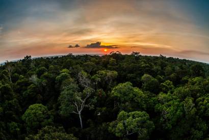 Sema prorroga envio de propostas de projetos de REDD+ para Unidades de Conservao