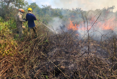 Em 40 dias de atuao, Operao Aceiro 2023 combateu 160 focos de incndio no sul do Amazonas