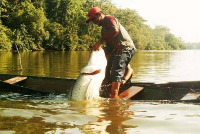 Inscries do subsdio a pescadores do pirarucu manejado termina na prxima segunda-feira 