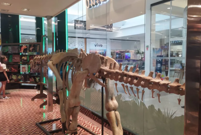 Museu da Amaznia realiza exposio gratuita em shopping de Manaus