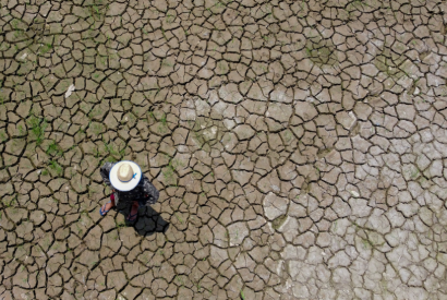 Seca j afeta todos os 62 municpios do Amazonas