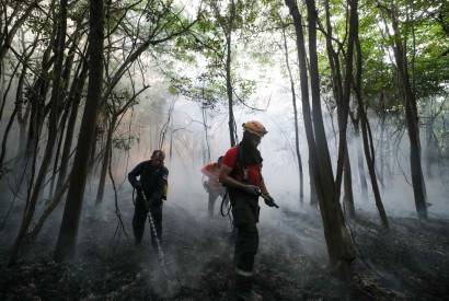 Medidas repressivas do Governo do Amazonas no combate a crimes ambientais resultam em aes de embargos, multas e infraes