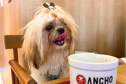 Restaurantes Inovam em Manaus com 'Cardpio Pet Friendly'