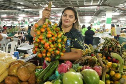 Safra da Pupunha: fruto  destaque nas feiras da ADS