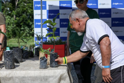 Meio Ambiente: Cigs anuncia que uso do gs natural evitou emisso de 6,2 milhes de toneladas de gases do efeito estufa