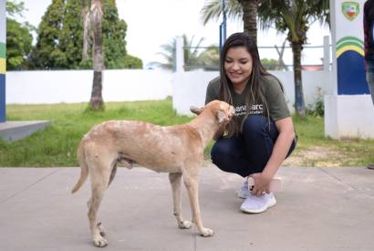 Lei de deputada Joana Darc institui julho como ms dedicado  preveno de zoonoses no Amazonas