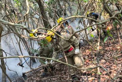 Corpo de Bombeiros monta fora-tarefa para extinguir incndio em Iranduba