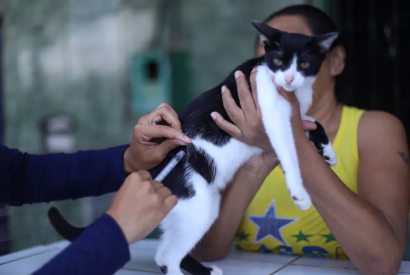 Campanha de vacinao para ces e gatos comea em Manaus nesta quarta-feira