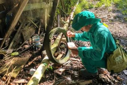 Amazonas registra primeiro caso de Dengue tipo 3 nos ltimos 15 anos, aponta FVS-RCP