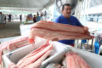 Feiro do Pescado em Manaus ter mais de 100 toneladas de peixe; confira os locais