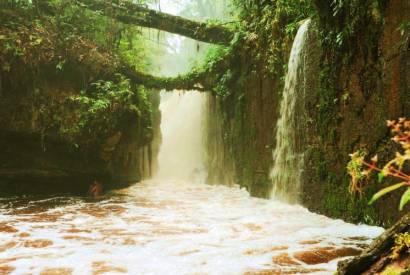 Sesc Amazonas abre temporada de passeios regionais; saiba quais so os roteiros