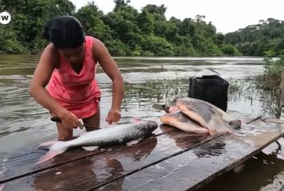 A luta do povo Karipuna para no desaparecer na Amaznia