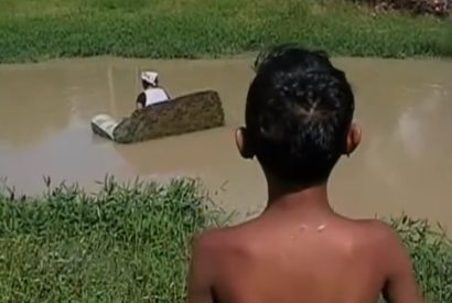 Assista ao curta-metragem 'Igarap de Manaus'